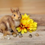 Cual es la historia del Conejo de Pascua?