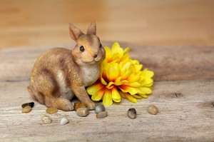 Cual es la historia del Conejo de Pascua?