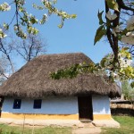 En busca del encanto rural ... en la Ciudad Capital