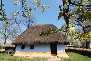 En busca del encanto rural ... en la Ciudad Capital