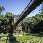 Pase un agosto divertido en Craiova!