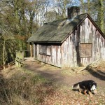 El turismo de caza y el turismo de observacion en Rumania