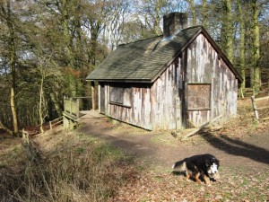 El turismo de caza y el turismo de observacion en Rumania